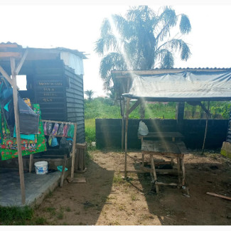 Full Plot of Land With Cofo For Sale in Ajah