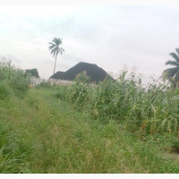 6 Plots of Land for Sale at Eneka