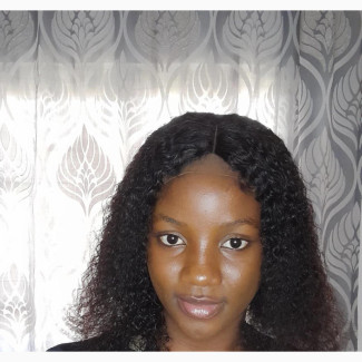 Human Hair/ Hair Blend Wigs
