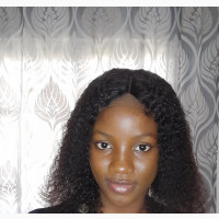 Human Hair/ Hair Blend Wigs