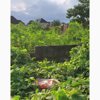 100 by 100 at Obayantor Community