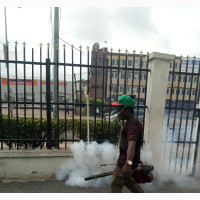 Professional Cleaning and Fumigation Service