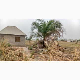 Land for Sale in Makurdi Benue State