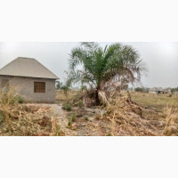 Land for Sale in Makurdi Benue State