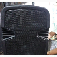 Professional 15 Inches P.A System With 2wireless Microphones