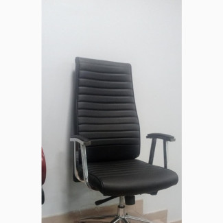 Director Chair