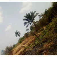 A Big Plot for Sale With 3 Bedroom Foundation