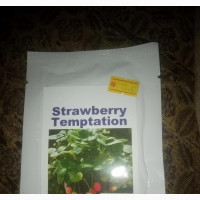 Strawberry Seed