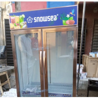 Snowsea 2doors Chiller