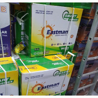 220ah Eastman Tubular Battery
