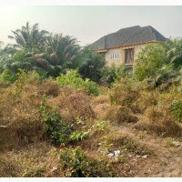 Dry Plot of Land for Sale - Buy and Build Today