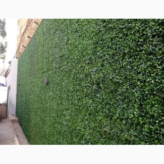 Boxwood Fence Installation Services