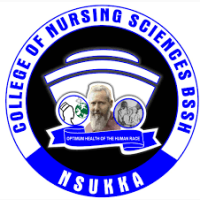 School Of Nursing Bishop Shanahan Hospital, Nsukka Form Is Out On Sales