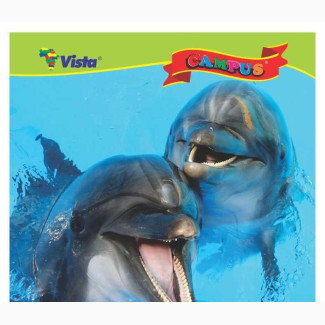 Vista Exercise Books - High Quality, 30 Notebooks