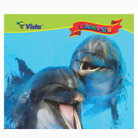 Vista Exercise Books - High Quality, 30 Notebooks