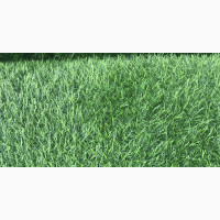 25mm Quality Green Grass For Walkway And Outdoor