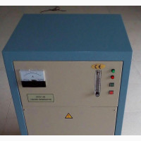 Ozone Generator (6gram)