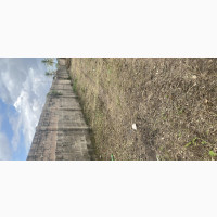 5 Plots of Gated and Fenced Land at Liberty Academy