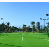 Artificial Grass Carpet - High-Quality and Affordable