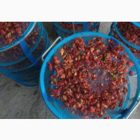 Dried Red/Chili/Hot Pepper - Available for Contract Supply
