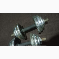 Bodyfit Dumbbells Equipment