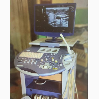 Fully Digital Coloured 4G Ultrasound Machine(German Used)