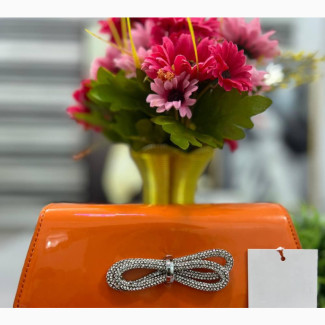 Shinning Bow Bag