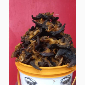 Medium Dried Snail - Rich in Calcium and Vitamins