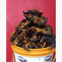 Medium Dried Snail - Rich in Calcium and Vitamins