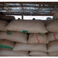 100kg of Clean Soybeans