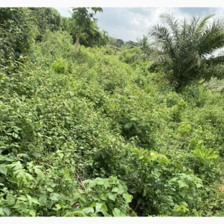 Residential Land for Sale with Genuine Documents