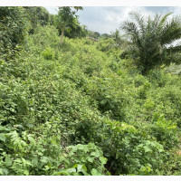 Residential Land for Sale with Genuine Documents