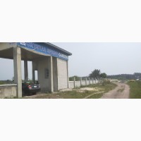 Crystal Springs Garden - Government Titled Dry Land For Lease Behind Amen Estate