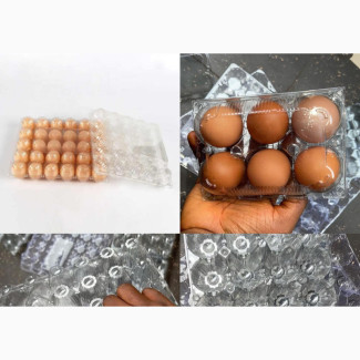 Transparent Egg Crate 30, 24, 15, 12 and 6