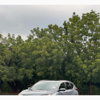 Honda CR-V EX-L 2022 Gray