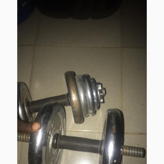 Everlast 20kg Dumbbell for Sale