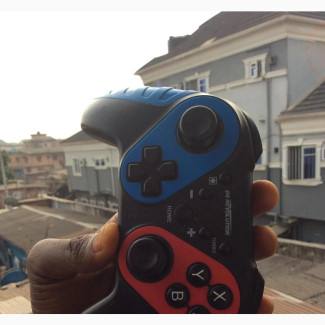 Wireless Pro Controller for Nintendo Switch Panda Controller