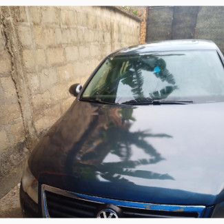 Volkswagen Passat 2009 Blue