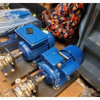Transfer Gas Pump Cylinder to Cylinder 220v