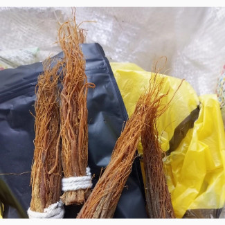 Ginseng Root