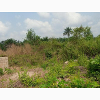 4 Plot of Land for Sale Along Akala Express Way