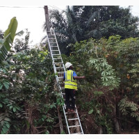 Solar Street Lights - High Quality and Durable