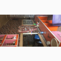Rent a Shop in Dei Dei Estate - 700k