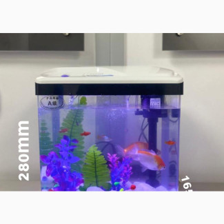 Aquarium + Decor and Fish - 9 Liters - 240x165x280mm - White