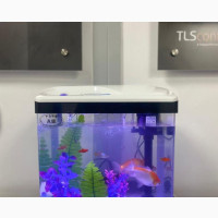 Aquarium + Decor and Fish - 9 Liters - 240x165x280mm - White