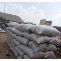 Paddy Rice Faro 44