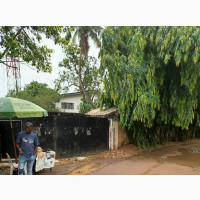 Warehouse 2 Flats on 1000sqm Land