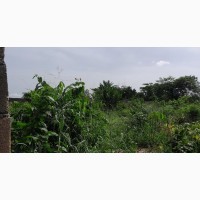 100x200 Along Falanu Tarred Road, Country Home Road G.R A