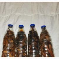 All Kinds of Infection Treatment
