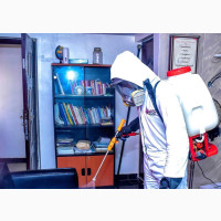 Fumigation Service - Get Rid of Pests Today